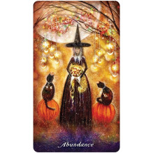 US Games Systems Earthly Souls And Spirits Moon Oracle Cards And Guide