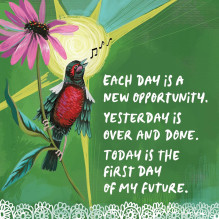 Hay House Louise Hay Affirmations For Forgiveness Cards Hay House Louise Hay Affirmations For Forgiveness Cards