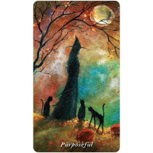 US Games Systems Earthly Souls And Spirits Moon Oracle Kortos Ir Vadovas