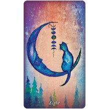 US Games Systems Earthly Souls And Spirits Moon Oracle Kortos Ir Vadovas