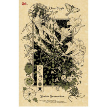 Lo Scarabeo The Magickal Botanical Oracle Cards