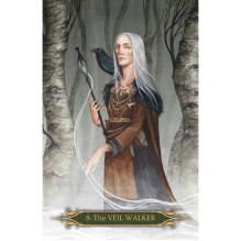 Lo Scarabeo A Compendium Of Witches Oracle Kortos
