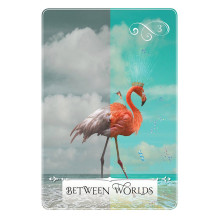 Hay House Wisdom Of The Oracle Divination Cards