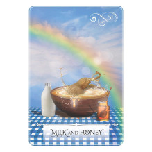 Hay House Wisdom Of The Oracle Divination Kortos