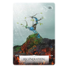 Hay House Wisdom Of The Oracle Divination Kortos