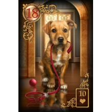 US Games Systems Gilded Reverie Lenormand Kortos