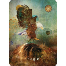 Hay House Mystical Shaman Oracle Cards Hay House Mystical Shaman Oracle Cards