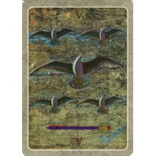 Schiffer Publishing The Secret Language Of Birds Taro Kortos