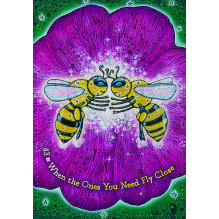 Hay House The Dream Weaver\'s Oracle Cards