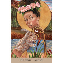 Blue Angel Maidens Of The Wheel Oracle Cards Blue Angel Maidens Of The Wheel Oracle Cards
