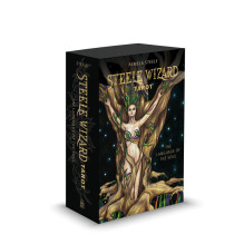 Steele Wizards Tarot Cards by Schiffer Publishing