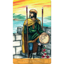 Steele Wizards Tarot Cards by Schiffer Publishing