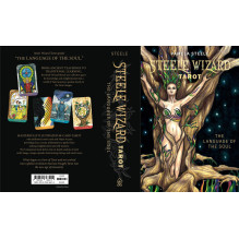 Steele Wizards Tarot Cards by Schiffer Publishing