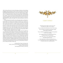 Steele Wizards Tarot Kortos Schiffer Publishing