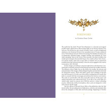 Steele Wizards Tarot Kortos Schiffer Publishing