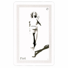 Schiffer Publishing ShadowFox Tarot Kortos