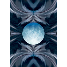 Lo Scarabeo Barbieri Zodiac Oracle kortos