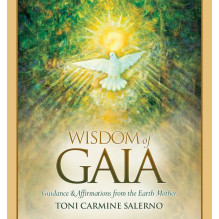 Blue Angel Wisdom Of Gaia Book