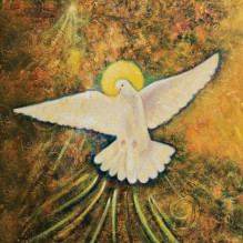 Blue Angel Wisdom Of Gaia Book