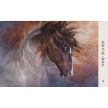 Blue Angel Horse Wisdom Oracle Kortos