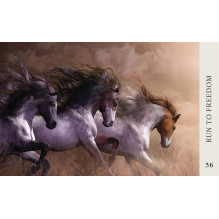 Blue Angel Horse Wisdom Oracle Cards