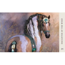 Blue Angel Horse Wisdom Oracle Kortos