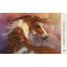 Blue Angel Horse Wisdom Oracle Kortos
