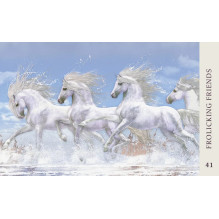 Blue Angel Horse Wisdom Oracle Kortos