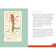 Rockpool Squid Cake Marseille Tarot Cards