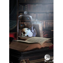 Lo Scarabeo De La Nuit Lenormand Oracle Kortos
