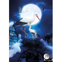 Lo Scarabeo De La Nuit Lenormand Oracle Kortos