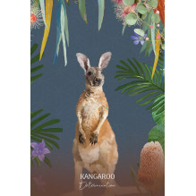 Blue Angel Wild Wisdom Australia Oracle Cards