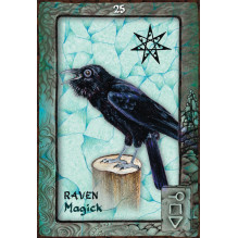 Blue Angel Animal Dreaming Oracle Kortos
