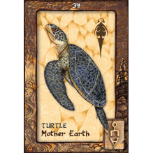 Blue Angel Animal Dreaming Oracle Cards