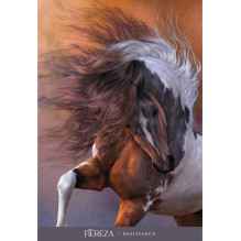 Blue Angel Oracle Of The Sacred Horse Cards