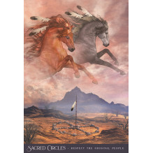 Blue Angel Oracle Of The Sacred Horse Kortos