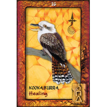 Blue Angel Animal Dreaming Oracle Kortos