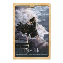 Blue Angel Wild Wisdom Of The Faery Oracle Cards