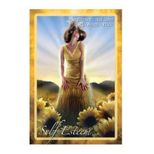 Blue Angel Chakra Insight kortos