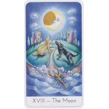 Watkins Publishing The Wisdom Seeker\'s Tarot Cards