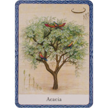 Oracle Cards The Wisdom Of Trees Watkins Publishing
