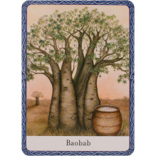 Oracle Cards The Wisdom Of Trees Watkins Publishing