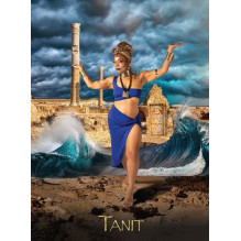 Hay House Black Goddess Within Oracle Kortos Hay House Black Goddess Within Oracle Kortos