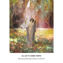 Hay House Inner Child Oracle Cards Hay House Inner Child Oracle Cards