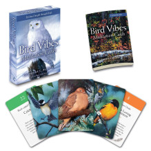 Meditation Cards Bird Vibes Beyond Words