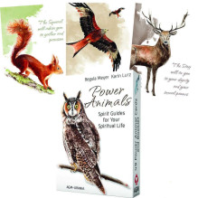 AGM Power Animals kortos