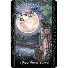 Blue Angel The Solitary Witch Oracle Cards Blue Angel The Solitary Witch Oracle Cards