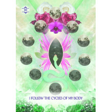 Hay House Law of Positivism Healing Oracle Cards Hay House Law of Positivism Healing Oracle Cards