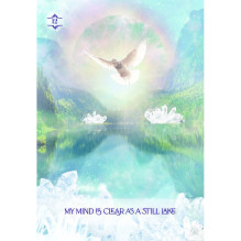 Hay House Law of Positivism Healing Oracle Cards Hay House Law of Positivism Healing Oracle Cards