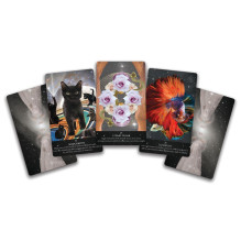 Oracle Cards Starlight Frequencies Sacred Scribe Publishing